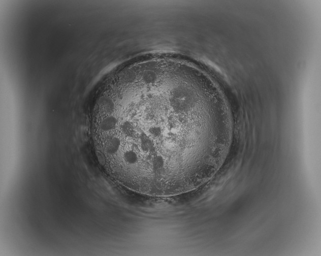 X0000114621255200910201125
