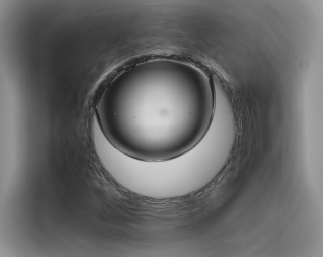 X0000114621256200910201125