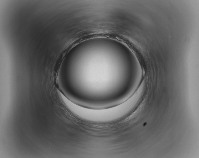 X0000114621257200910201125