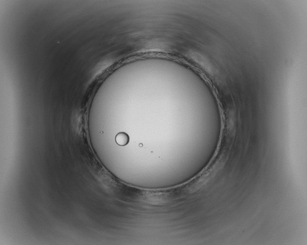 X0000114621258200910201125