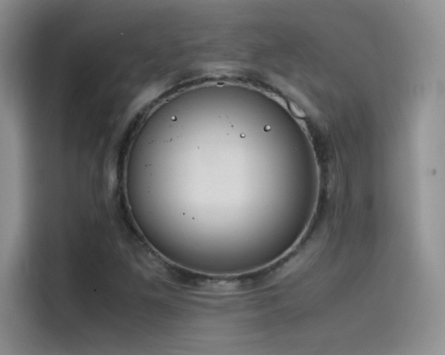 X0000114621261200910201125