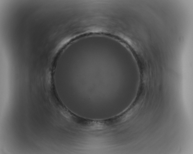 X0000114621263200910201125