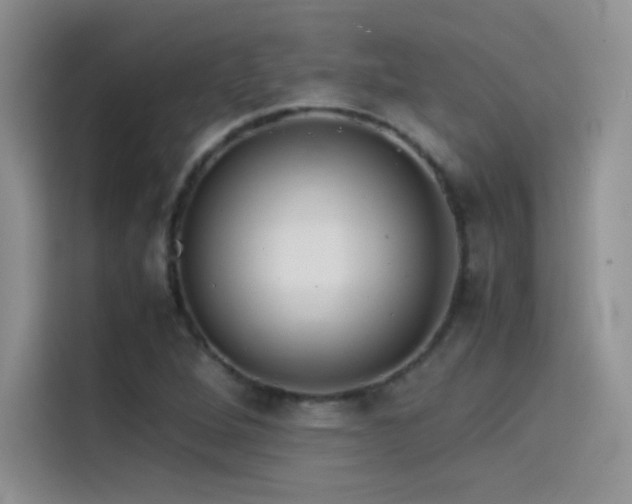 X0000114621264200910201125