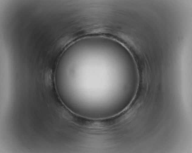 X0000114621265200910201125