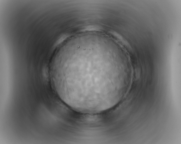 X0000114621266200910201125
