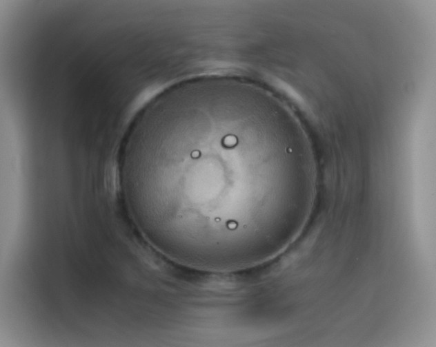 X0000114621267200910201125