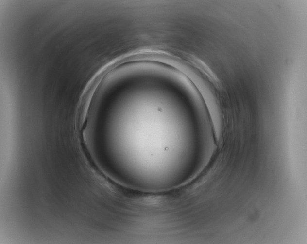 X0000114621268200910201125
