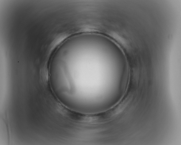 X0000114621269200910201125