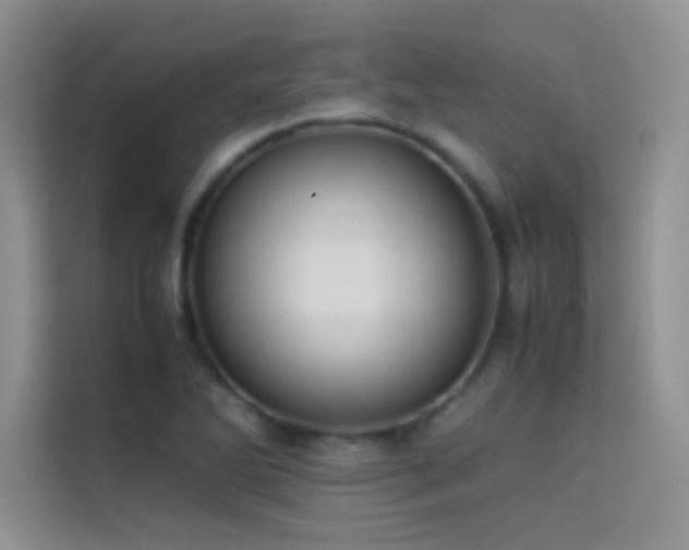 X0000114621270200910201125