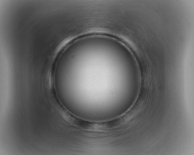 X0000114621271200910201125
