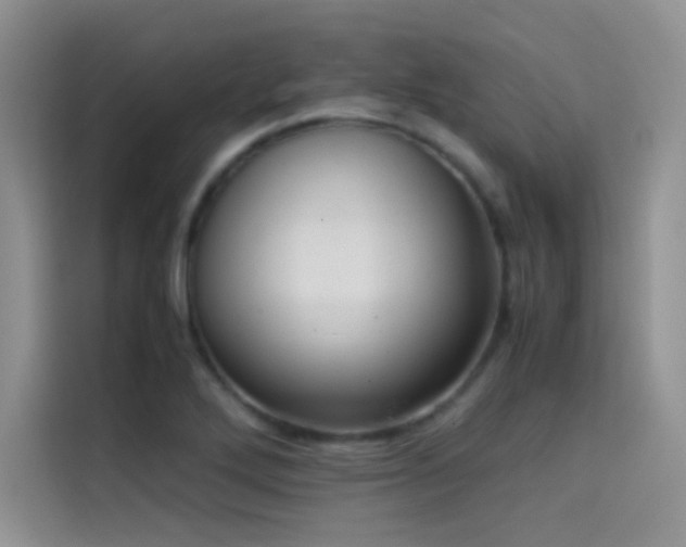 X0000114621272200910201125
