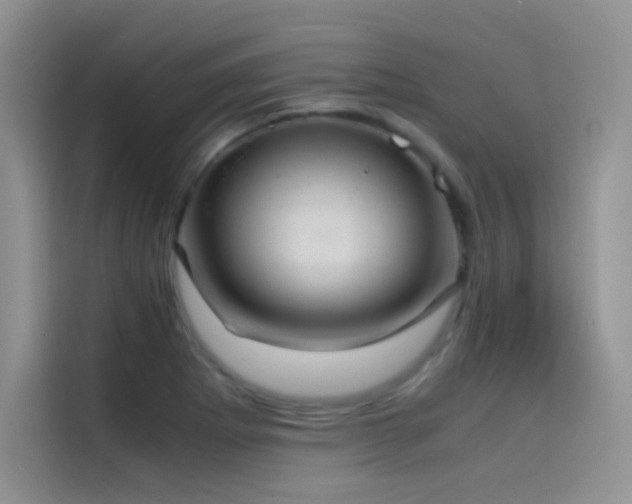 X0000114621273200910201125