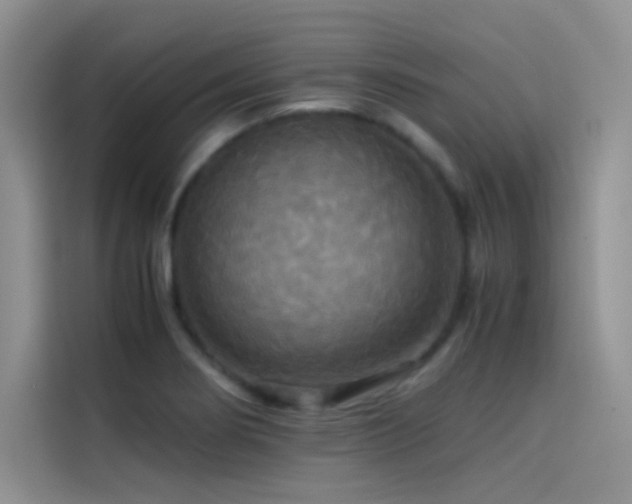 X0000114621274200910201125