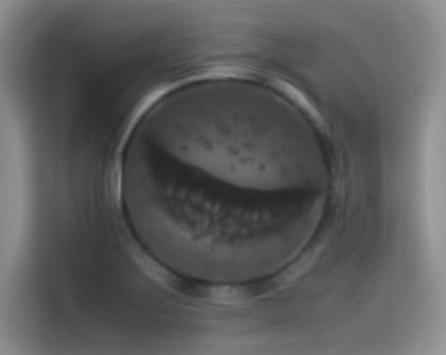 X0000114621275200910201125