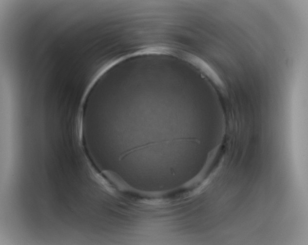 X0000114621276200910201125