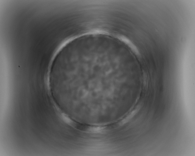 X0000114621278200910201125