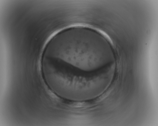 X0000114621279200910201125