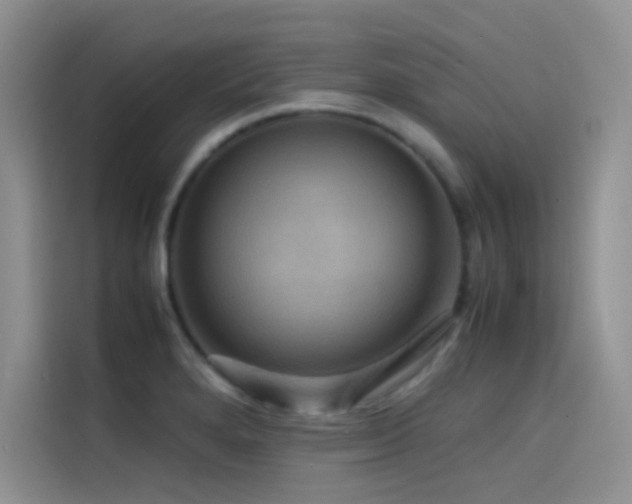 X0000114621280200910201125