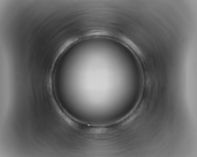 X0000114621282200910201125