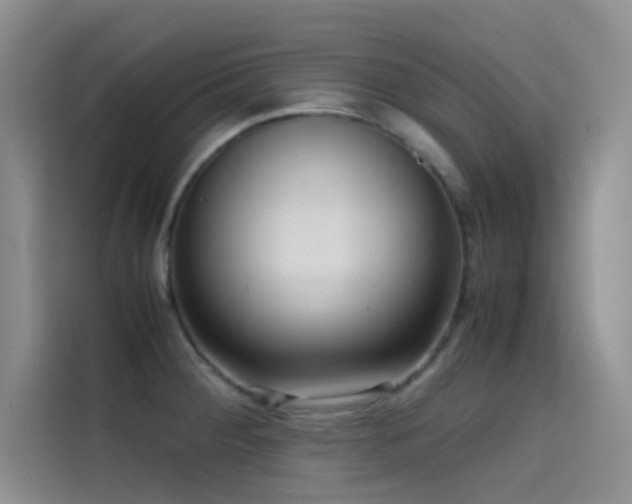 X0000114621284200910201125