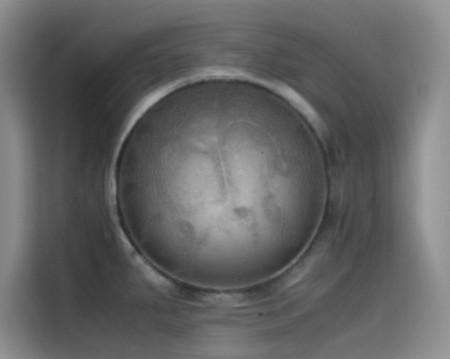 X0000114621287200910201125