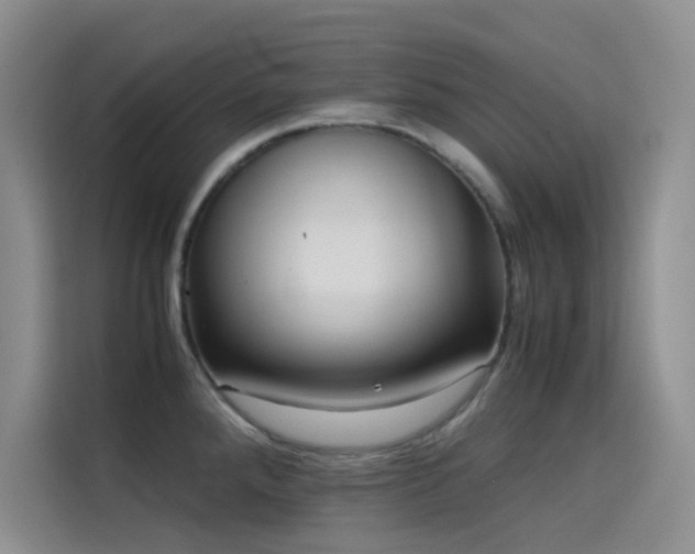 X0000114621288200910201125