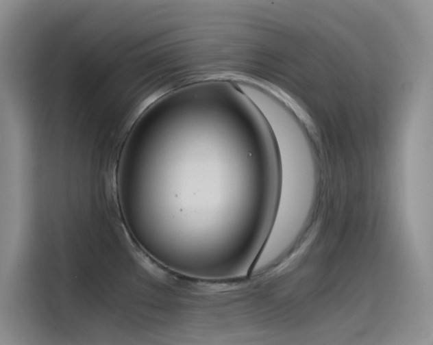 X0000114621289200910201125