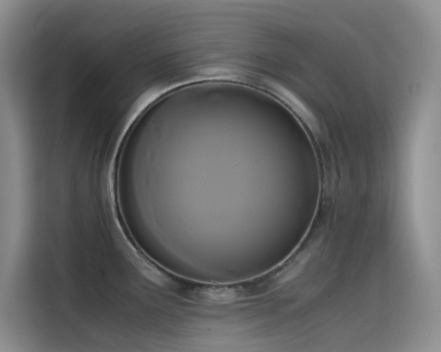 X0000114621291200910201125