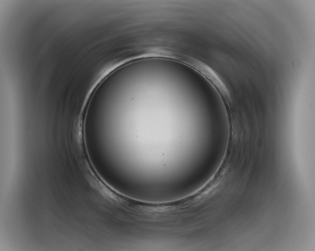 X0000114621292200910201125