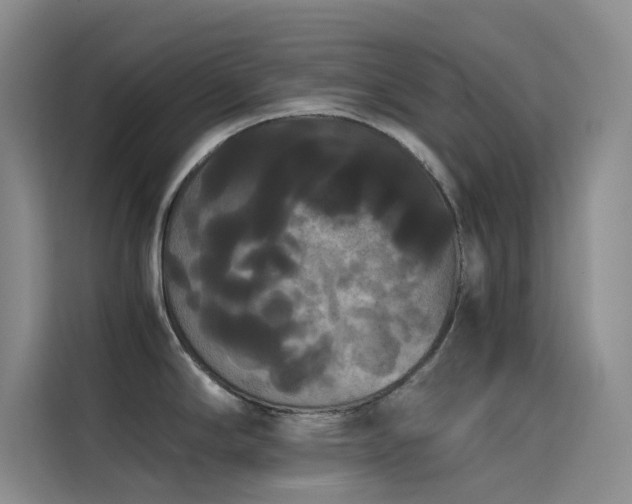 X0000114621294200910201125