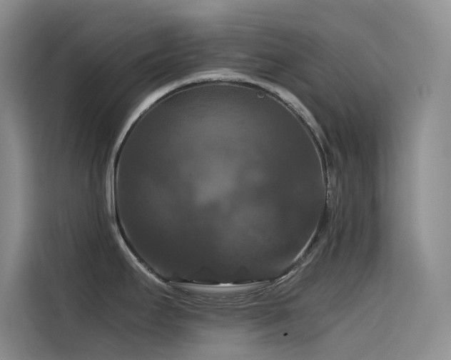 X0000114621295200910201125