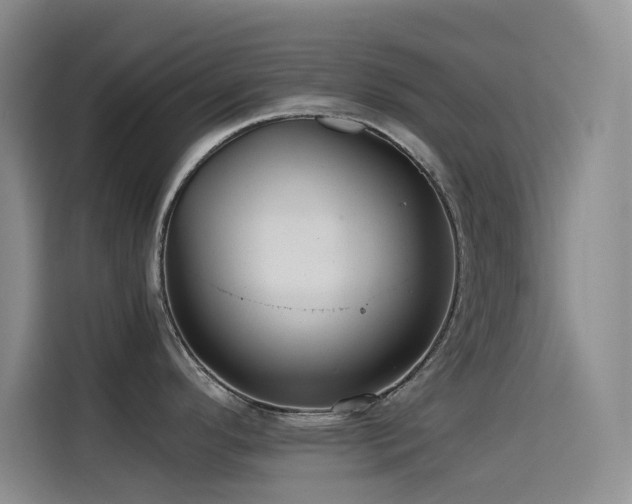 X0000114621296200910201125