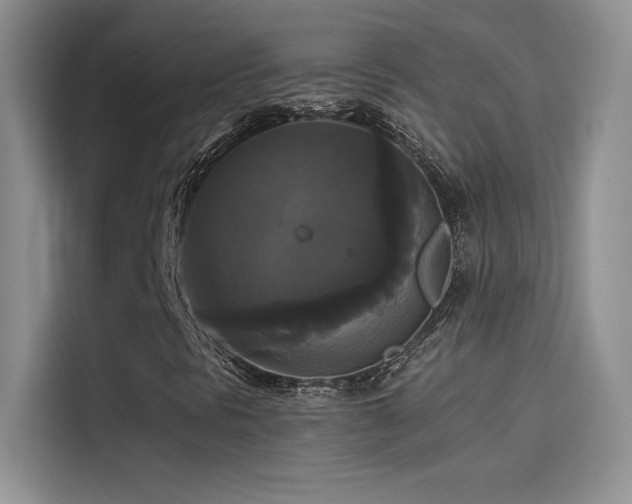 X0000114621297200910201124