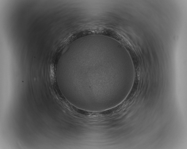 X0000114621298200910201124