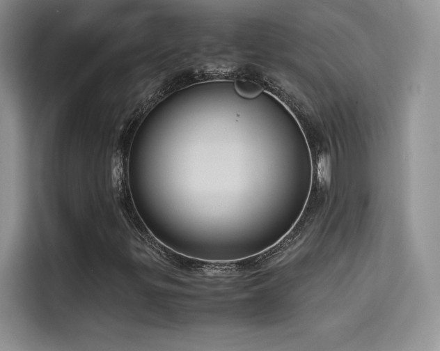 X0000114621299200910201124