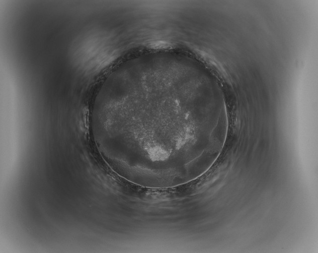 X0000114621301200910201124