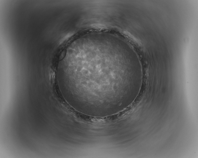 X0000114621302200910201124