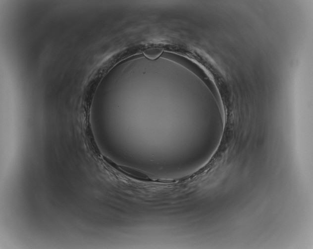 X0000114621303200910201124