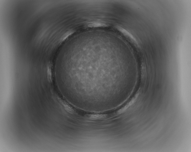 X0000114621305200910201124