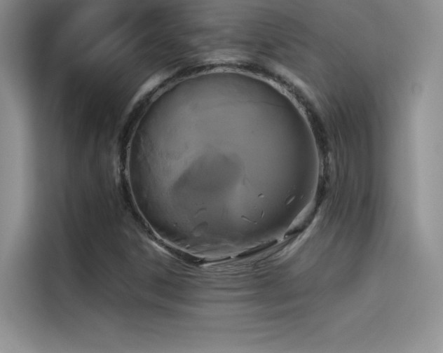 X0000114621306200910201124