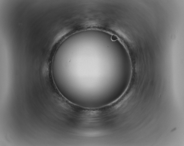 X0000114621309200910201124