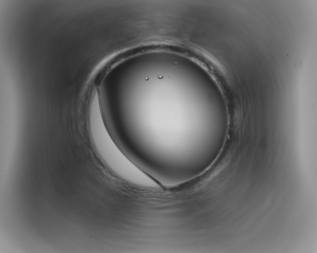 X0000114621310200910201124