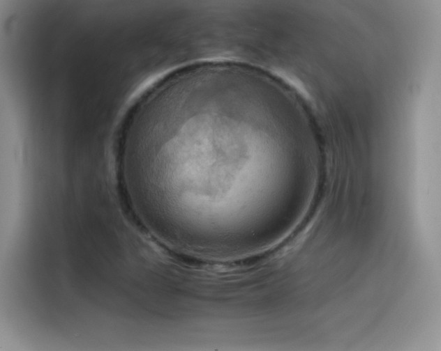 X0000114621311200910201124