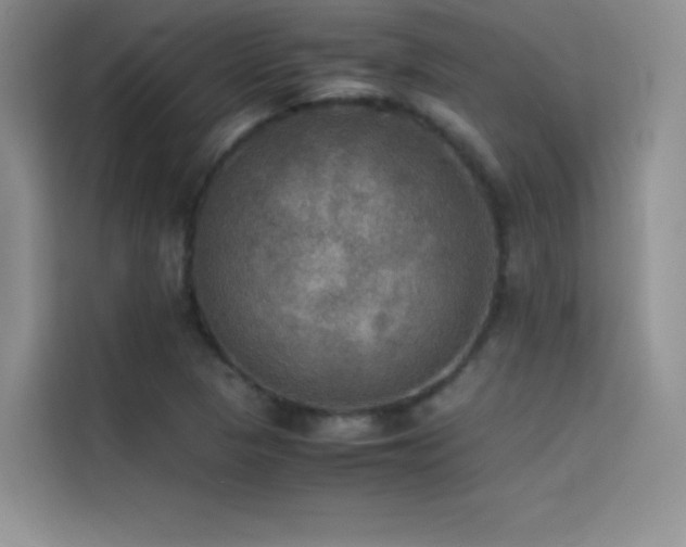 X0000114621313200910201124