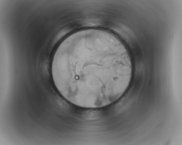 X0000114621314200910201124
