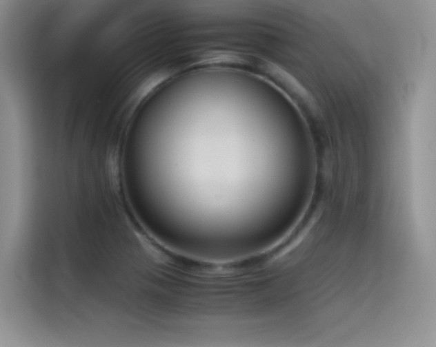 X0000114621321200910201125