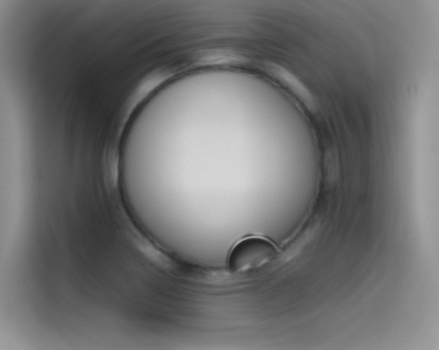 X0000114621322200910201125