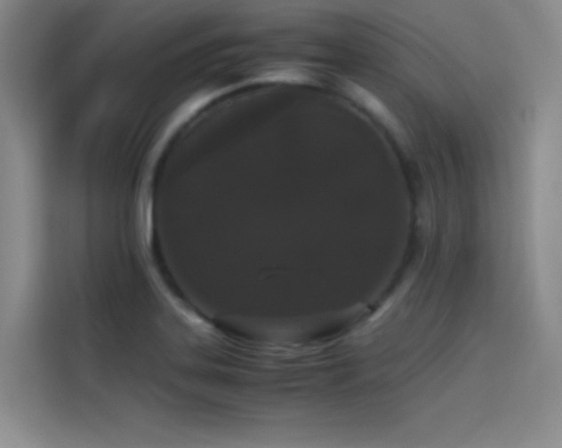 X0000114621323200910201125