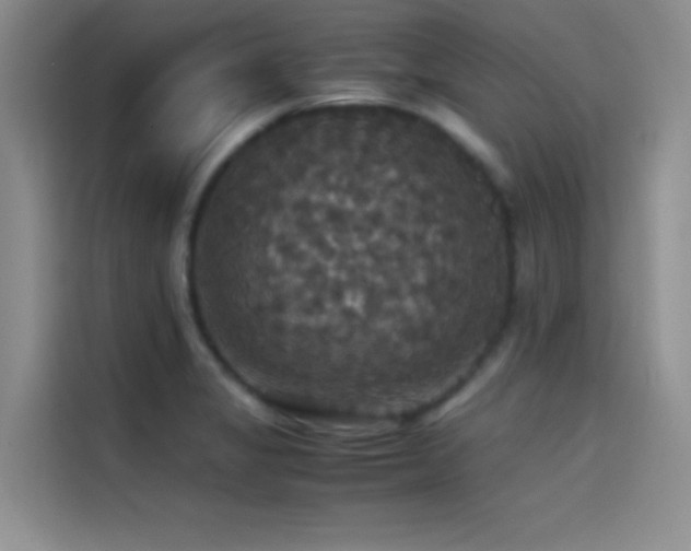 X0000114621325200910201125