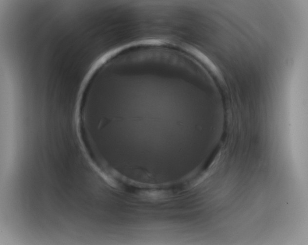 X0000114621327200910201125
